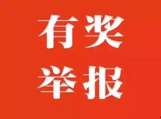 辽宁新闻爆料有奖励,见证者有奖，共赏信息盛宴